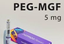 PEG-MGF: Beneficios, Dosis, Efectos y Cómo Este Factor de Crecimiento Mecánico Pegilado Fusiona Células Satélite al Músculo Dañado