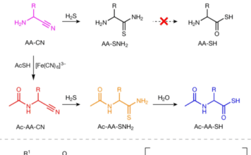 Peptidos en México | Donde Comprarlos y Cuales Hay Disponibles